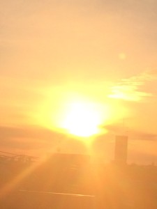 写真 (1)